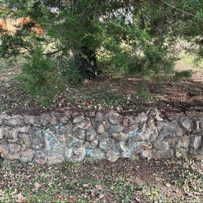 Bush Trimming by Chuyin&#039;s Lawn Care LLC reviewed on October 19, 2025