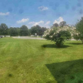 grass cutting by Hickmon Homes LLC reviewed on April 25, 2024