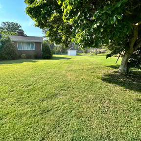 landscape maintenance by J&B Landscaping reviewed on August 13, 2025
