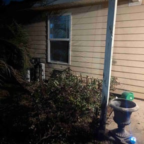 Bush Trimming by Brandon Barthwell reviewed on December 19, 2025