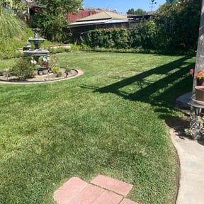 landscaping services by We lawn reviewed on August 20, 2025