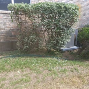 Bush Trimming by Natures Own reviewed on August 16, 2025