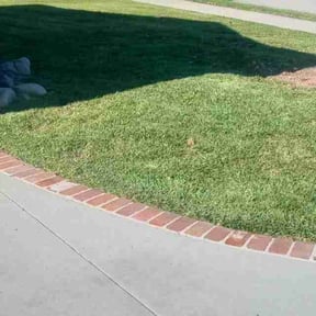 turf maintenance by Davis Landscaping reviewed on May 13, 2024
