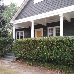 Bush Trimming by Brigzy's Lawn Care reviewed on August 18, 2025