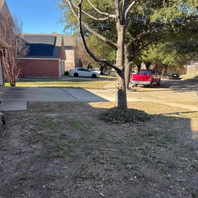 Leaf Removal by All Electric Landscaping reviewed on January 17, 2026