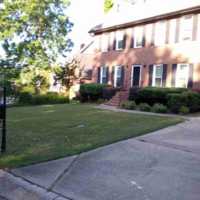 landscaping services by She-power reviewed on August 20, 2025