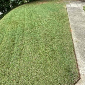 lawn care services by Green T's Lawn & Landscape reviewed on August 24, 2023