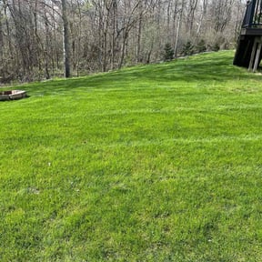 gardening service by Best cuts lawncare reviewed on August 21, 2025