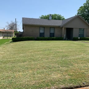 Bush Trimming by The professionals lawncare services LLC reviewed on August 15, 2025