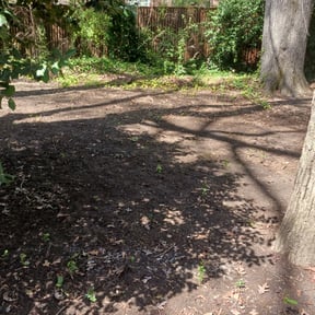 Leaf Removal by Firefighter Pest and Lawn reviewed on September 13, 2025