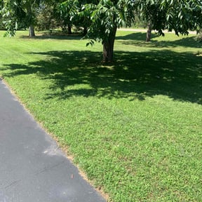 turf maintenance by Leigh Outdoor Services LLC reviewed on August 3, 2025