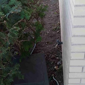 Bush Trimming by H&amp;S Landscaping and Design reviewed on August 17, 2025