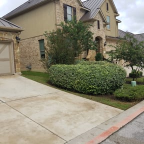 Bush Trimming by Roth Mowing reviewed on August 21, 2025