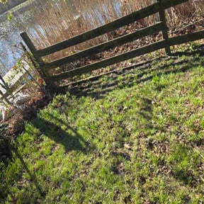 Leaf Removal by Phase Systems Renovation LLC reviewed on April 14, 2026