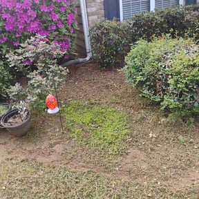 Flower Bed Weeding by Cardinal lawn care and maintenance LLC reviewed on April 7, 2026