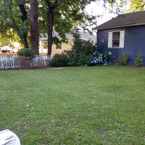 Bush Trimming by J.C. Lawn Service reviewed on August 18, 2025