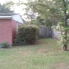 Bush Trimming by Woos lawn care reviewed on August 20, 2025