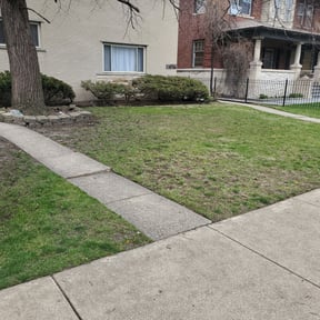 Leaf Removal by GC Lawn Care &amp; Landscaping Services reviewed on September 26, 2025