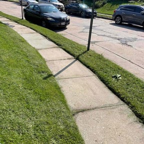 lawn care services by Juana's Botanical Landscaping reviewed on September 11, 2023