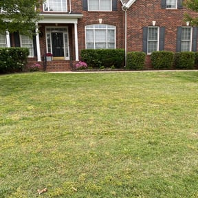 Bush Trimming by King of Lawn Care LLC reviewed on January 7, 2024