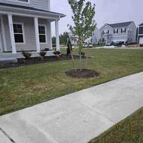 yard work by Clutch lawn service inc reviewed on August 20, 2025