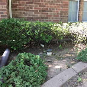 Leaf Removal by Three E's Lawn Care LLC. reviewed on August 19, 2025