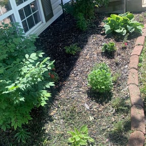 Flower Bed Weeding by Music City Mowers reviewed on August 18, 2025
