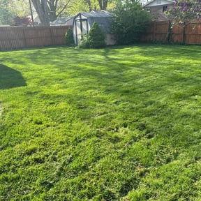 landscaping services by Empire Lawn Care & Tree Trimming reviewed on August 19, 2025