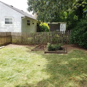 Leaf Removal by Early's Lawncare reviewed on September 7, 2025