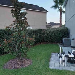 Bush Trimming by Genet Rena reviewed on August 17, 2025