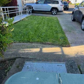 grass maintenance by Top Landscape Maintenance LLC reviewed on April 29, 2025