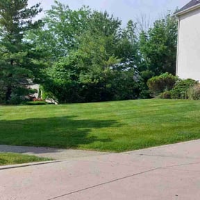 yard work by DUBBYS LAWN AND HANDYMAN SERVICES reviewed on November 21, 2025