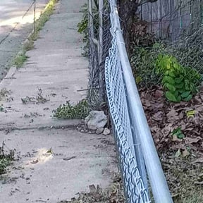 Bush Trimming by JS landscape reviewed on August 20, 2025