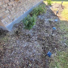 Flower Bed Weeding by Dreb Landscaping reviewed on November 10, 2025