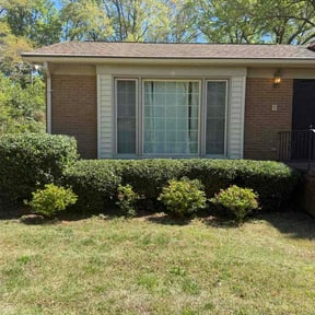 Bush Trimming by Mark1Pro Lawn Service reviewed on March 29, 2026