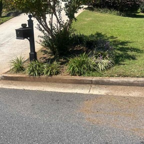 Flower Bed Weeding by Yard Dr. LLC reviewed on November 28, 2025