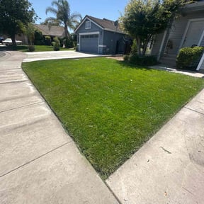 landscaping by CV LAWN MAINTENANCE LLC reviewed on August 19, 2025