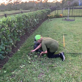 Bush Trimming by Lawn services JAV reviewed on August 19, 2025
