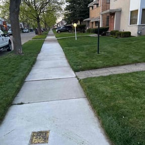 lawn care by Blue Dyamond Land Services LLC reviewed on June 11, 2022