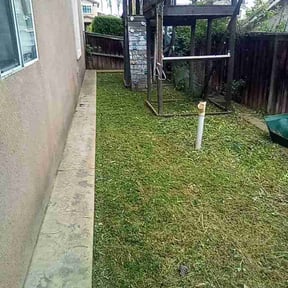 Leaf Removal by E&amp;M Landscaping reviewed on December 4, 2021