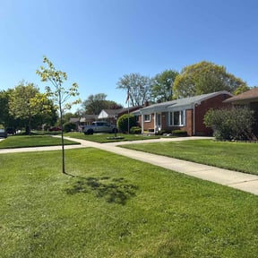 grass maintenance by BB United reviewed on August 19, 2025