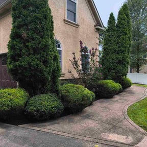 Bush Trimming by Schuetz Landscaping Services reviewed on December 31, 2025