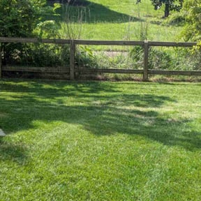 turf maintenance by Green Dream Lawn reviewed on March 6, 2024