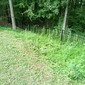 Flower Bed Weeding by Major roots lawn Co. reviewed on November 29, 2025