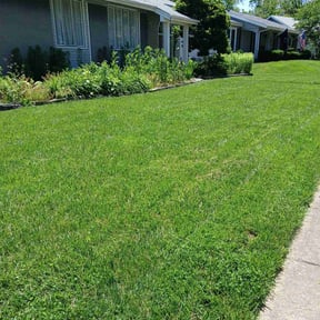 lawn care services by Thomas Fador reviewed on April 22, 2024