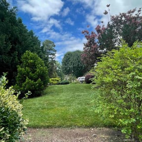 yard care by ASPIRATION OF HOPE INC reviewed on August 21, 2025