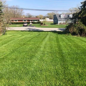 lawn maintenance by Lawn care reviewed on August 19, 2025