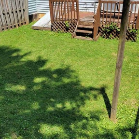 turf maintenance by Blessed Lawn Care Services & Odd Jobs reviewed on July 12, 2023
