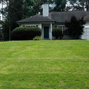 Bush Trimming by The Lawn Queen Care Services reviewed on August 18, 2025