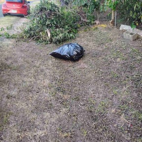 Bush Trimming by Keith's lawncare reviewed on November 21, 2025